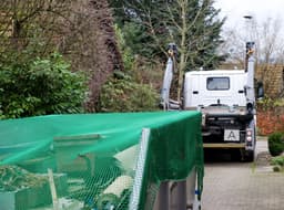 Best Junk Removal Service 2023's image